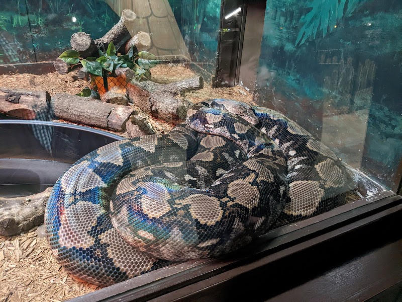Reptile Lagoon photo 5