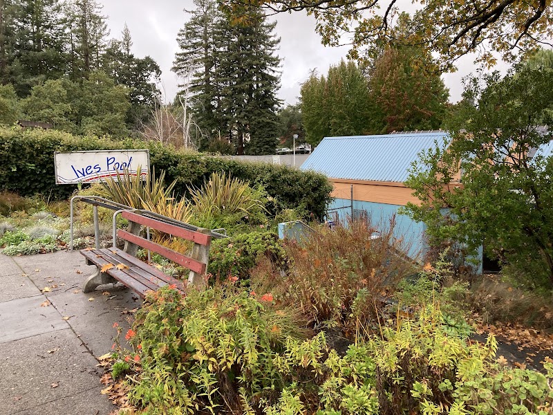 Ives Pool photo 4