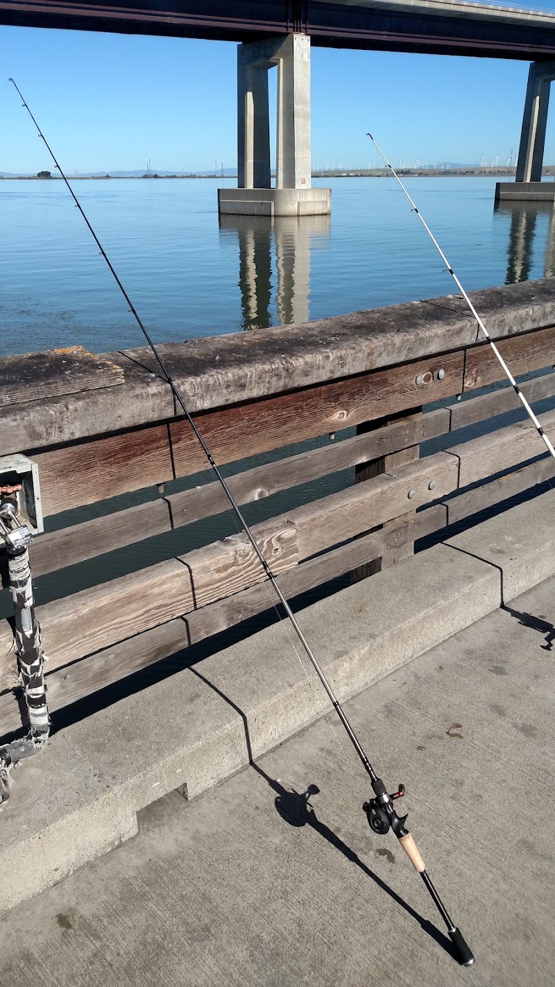 Antioch Bridge photo 4