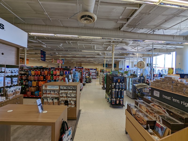 Petco photo 2