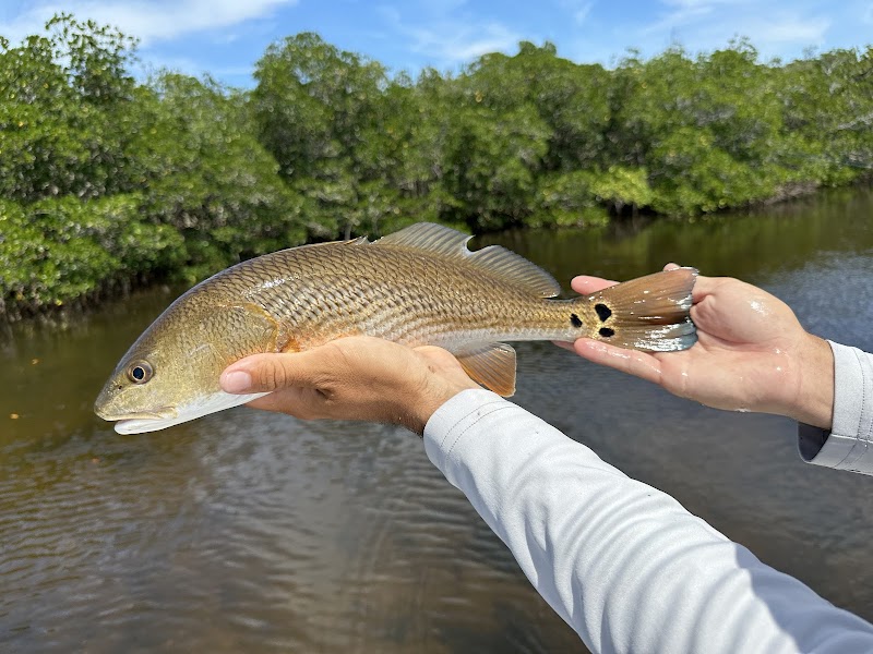 JC Fishin Charters photo 5