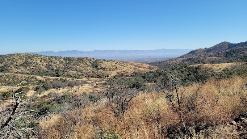 Photo of Oracle Ridge Trail at Cody Loop Road