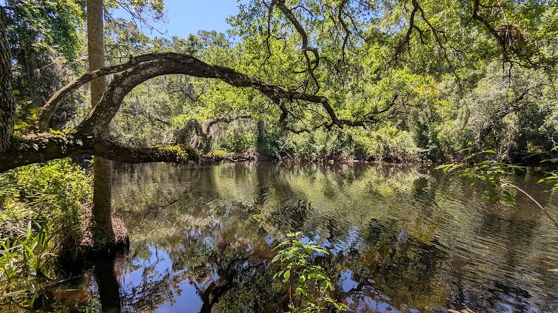 John Chesnut Sr. Park photo 3