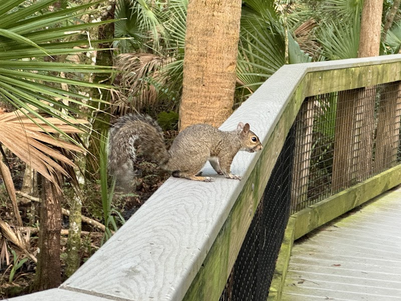John Chesnut Sr. Park photo 4