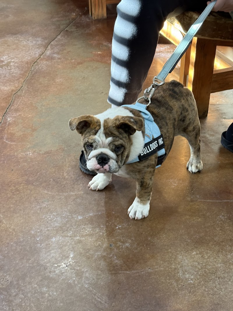 Photo of Dade City Animal Clinic