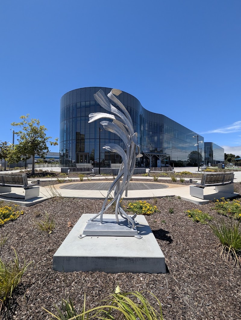 Library | Parks & Recreation Center photo 2