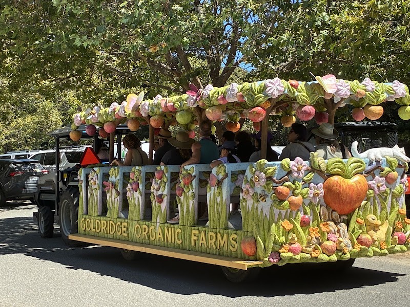Gravenstein Apple Fair photo 3