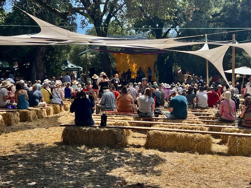 Gravenstein Apple Fair photo 2