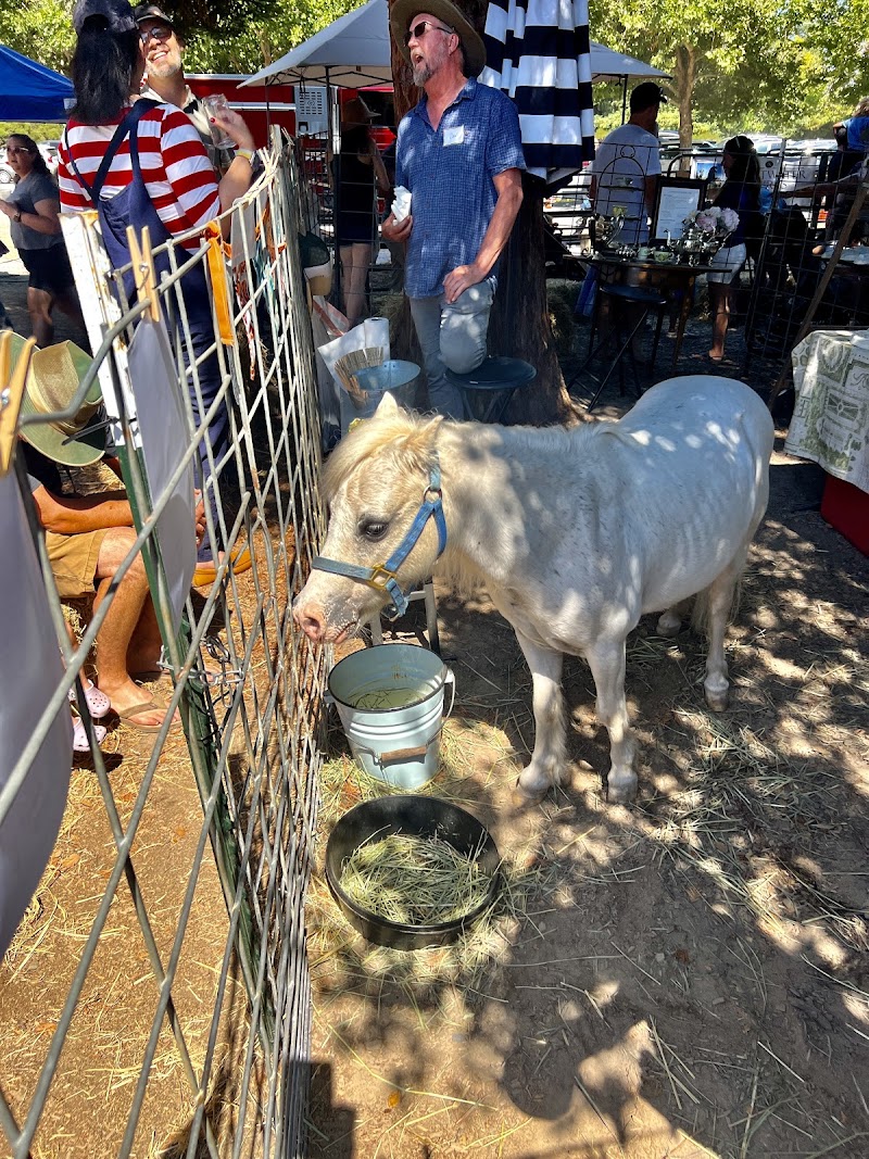Gravenstein Apple Fair photo 5