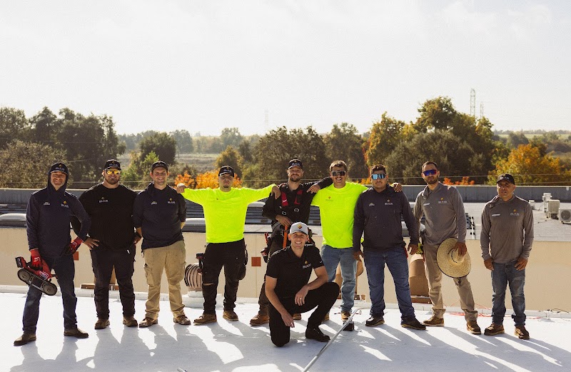Photo of Carmichael Roofing