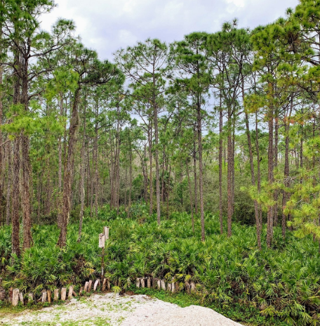 Calusa Nature Center & Planetarium photo 2
