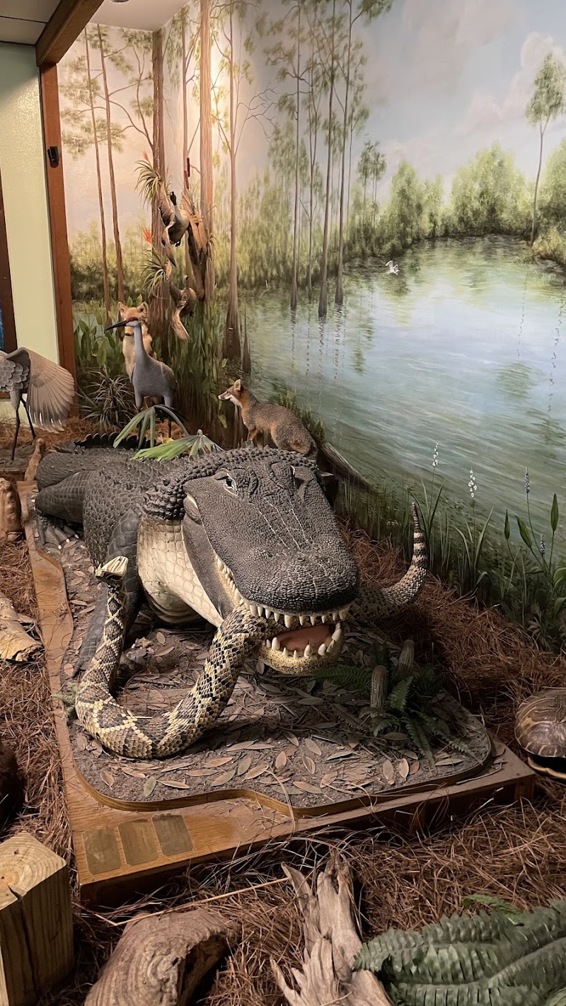Calusa Nature Center & Planetarium photo 5