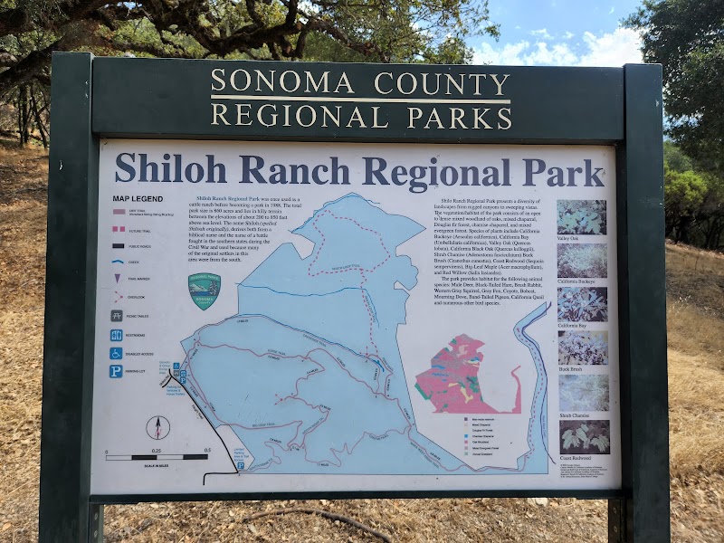 Photo of Shiloh Ranch Regional Park