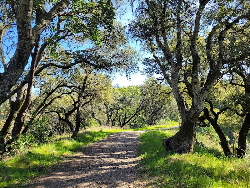 Shiloh Ranch Regional Park photo 2