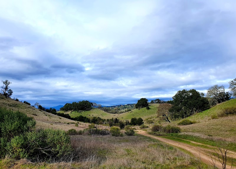 Shiloh Ranch Regional Park photo 5