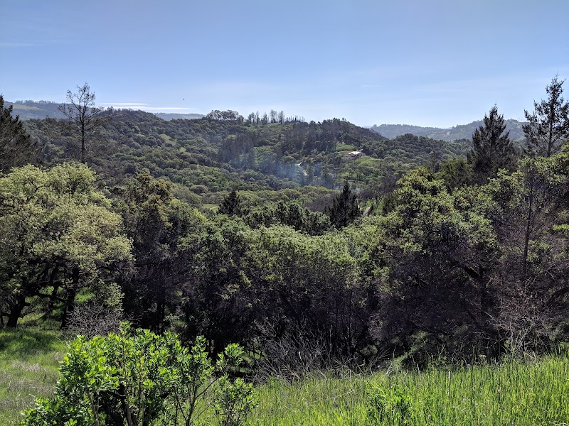 Shiloh Ranch Regional Park photo 3