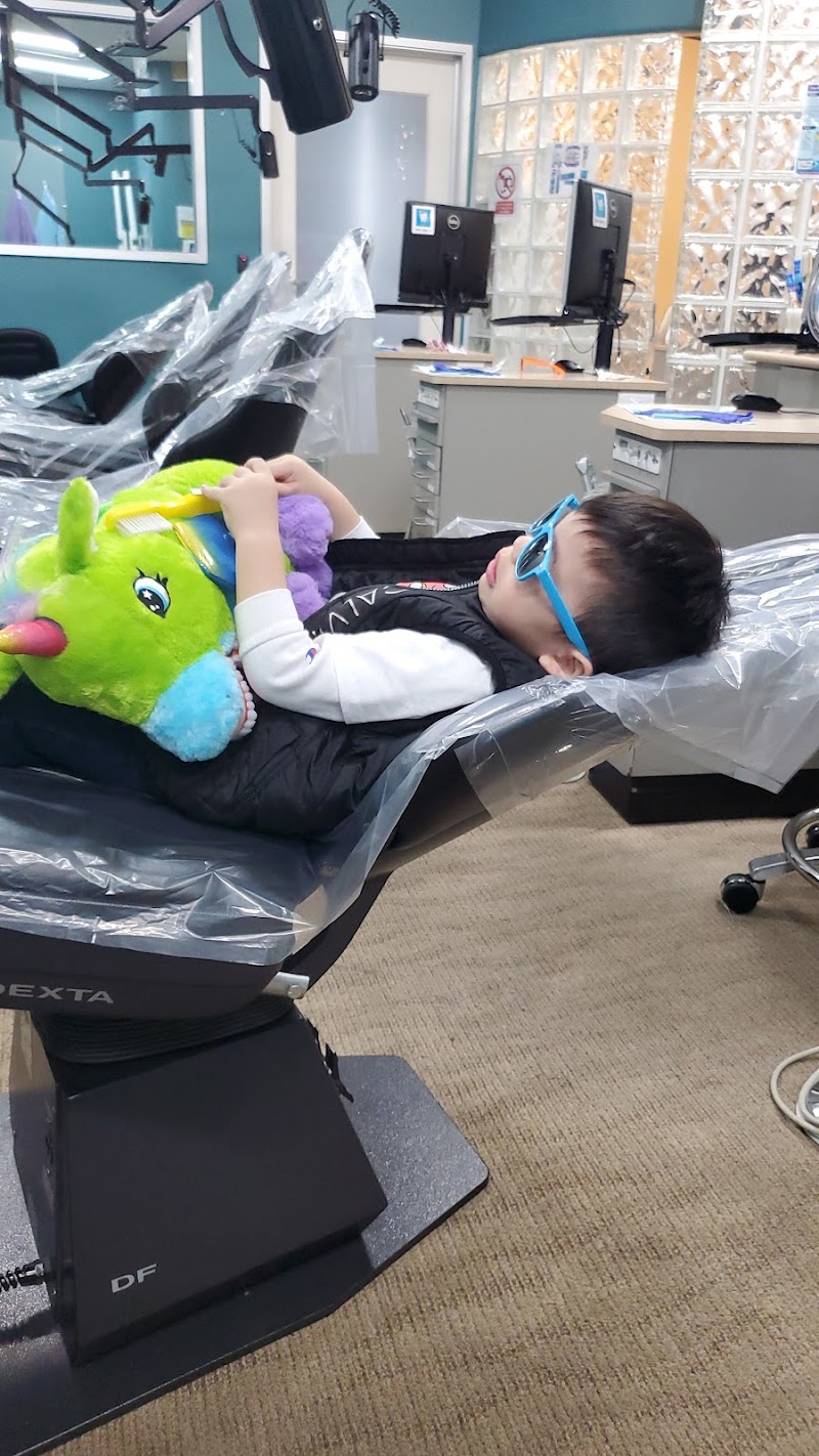 Castro Valley Pediatric Dentistry photo 5
