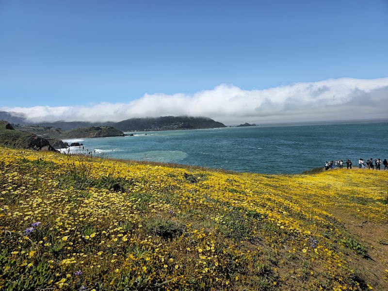 Mori Point photo 3