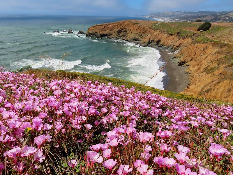 Mori Point photo 4