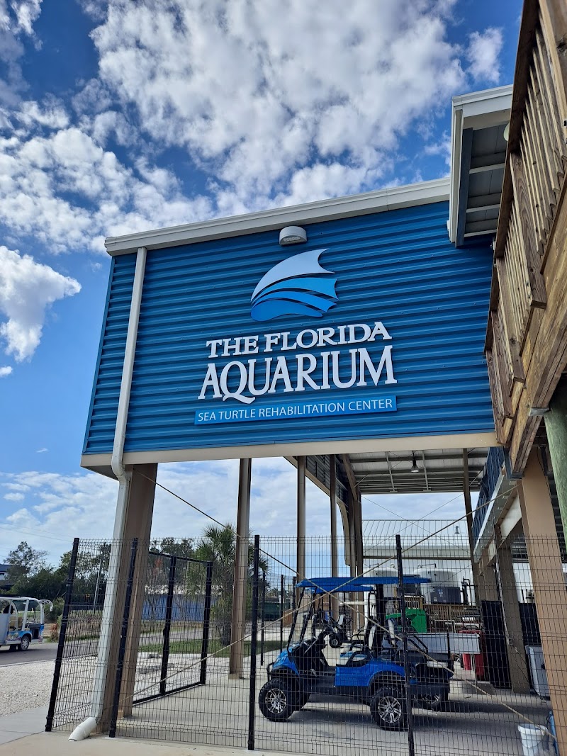 Photo of The Florida Aquarium Sea Turtle Rehabilitation Center
