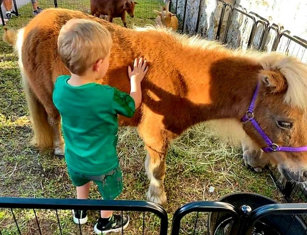 Noe Worries Ranch, LLC photo 3
