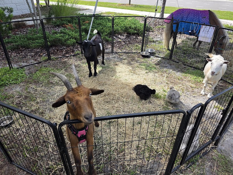 Noe Worries Ranch, LLC photo 2