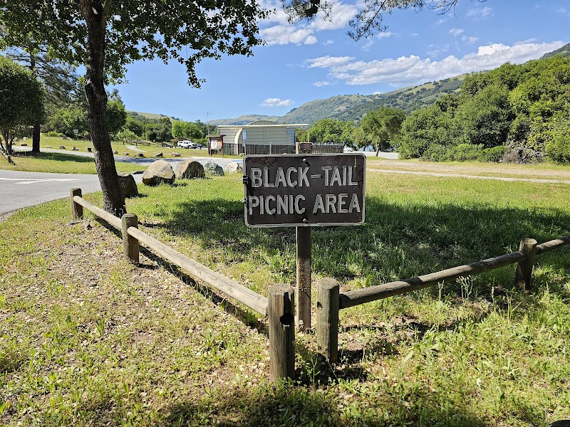 Photo of Black Tail group camp site