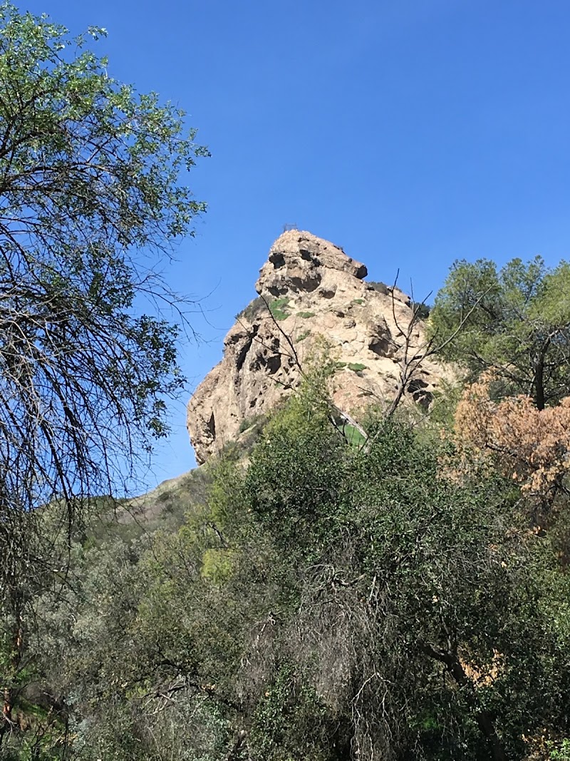 Old Los Angeles Zoo photo 3
