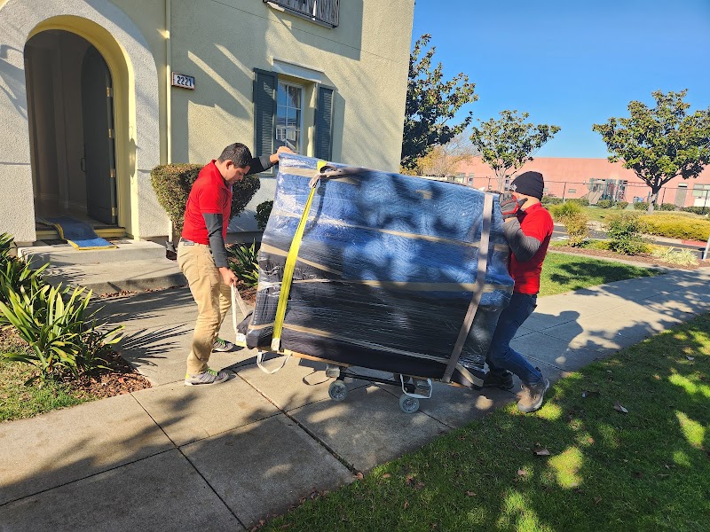 Mas Movers Co photo 3