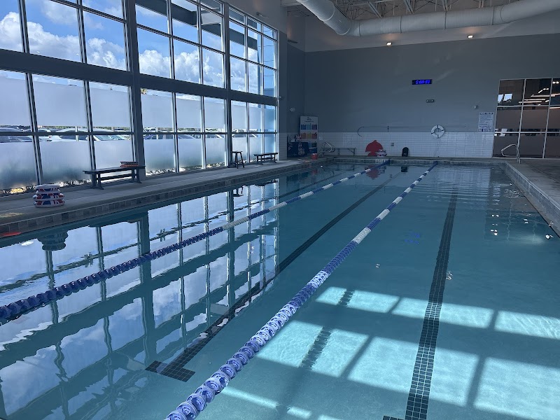British Swim School at EoS Fitness - Lutz photo 2
