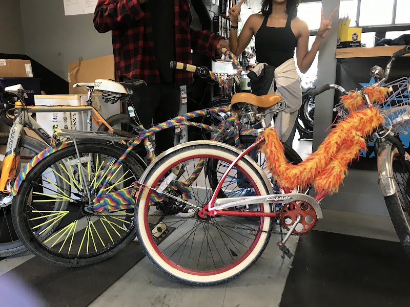 Bay Cycles photo 5