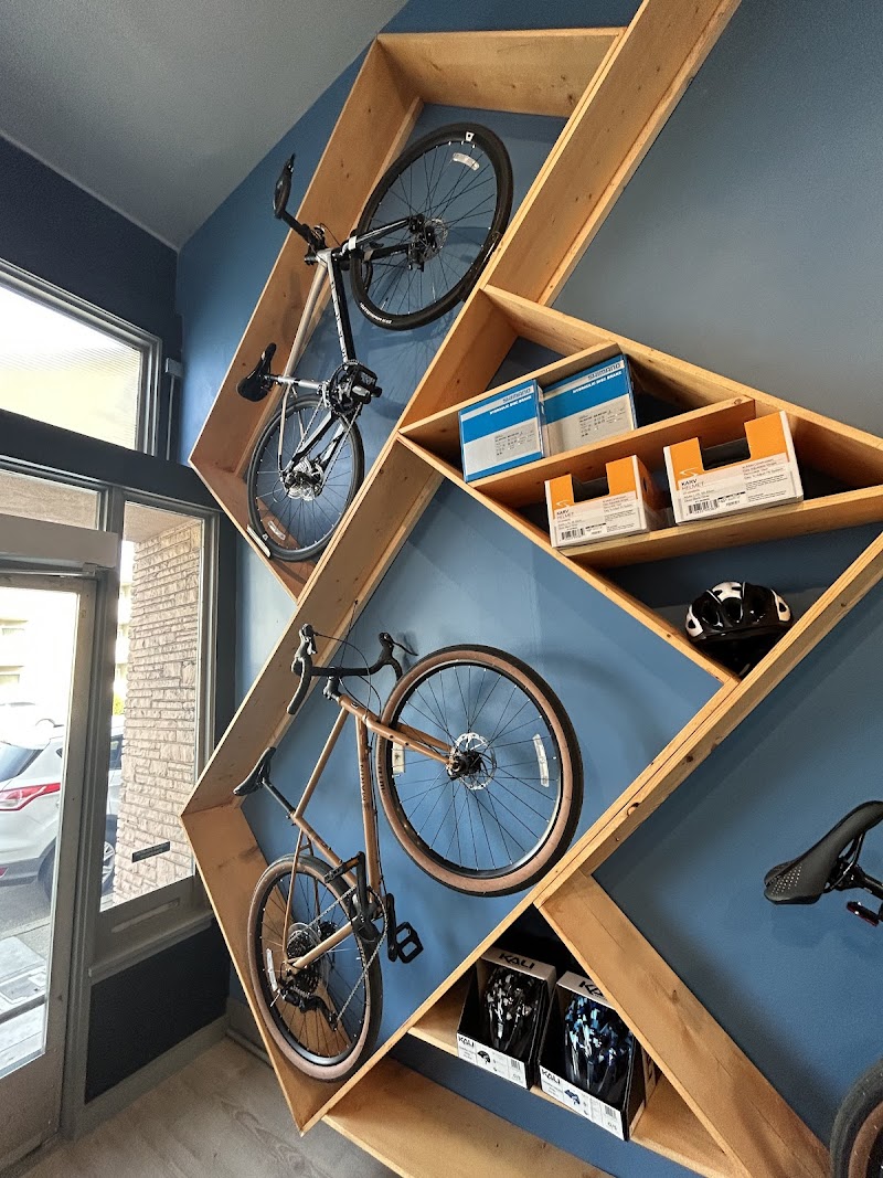Bay Cycles photo 2