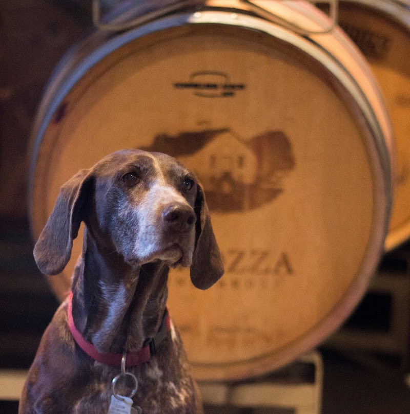 Photo of Varozza Vineyards