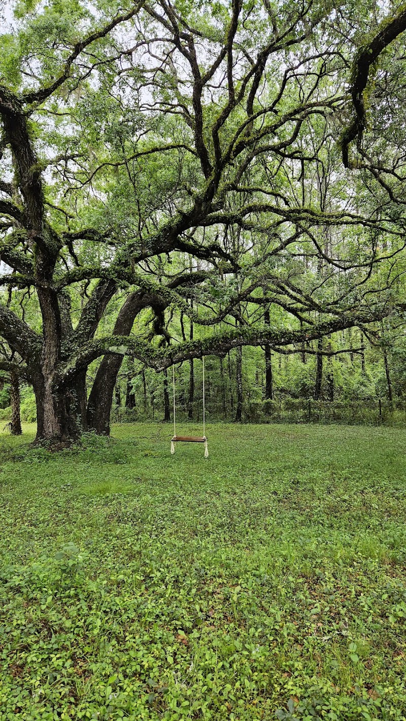 Honey Bee Ranch photo 5