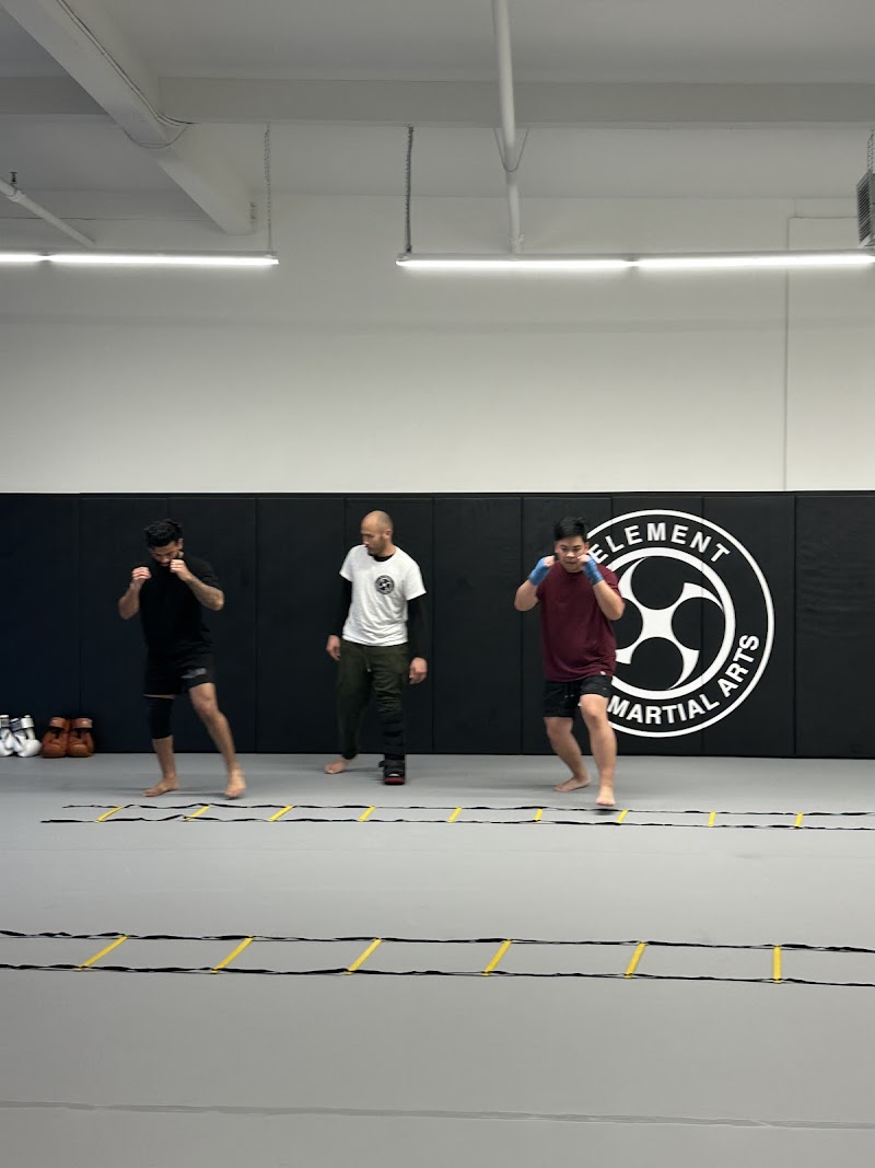 Element MMA photo 2