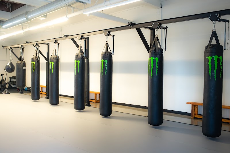 Element MMA photo 3