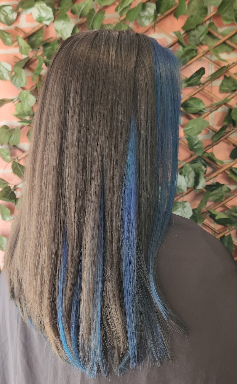 Melenas & Manes photo 3