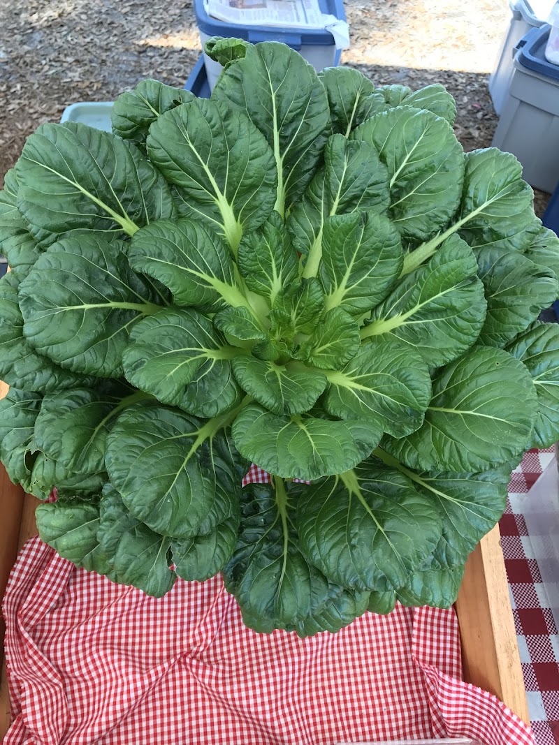 Bilbrey Family Farm photo 3