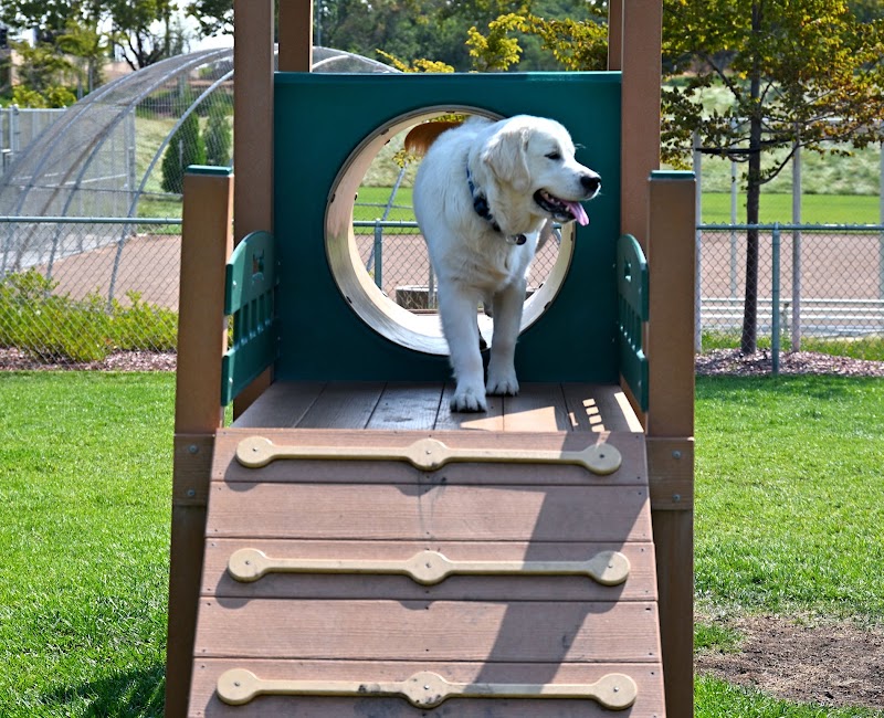 Koda Dog Park photo 5