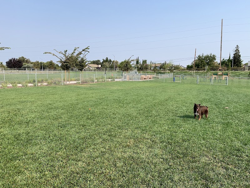 Photo of Koda Dog Park