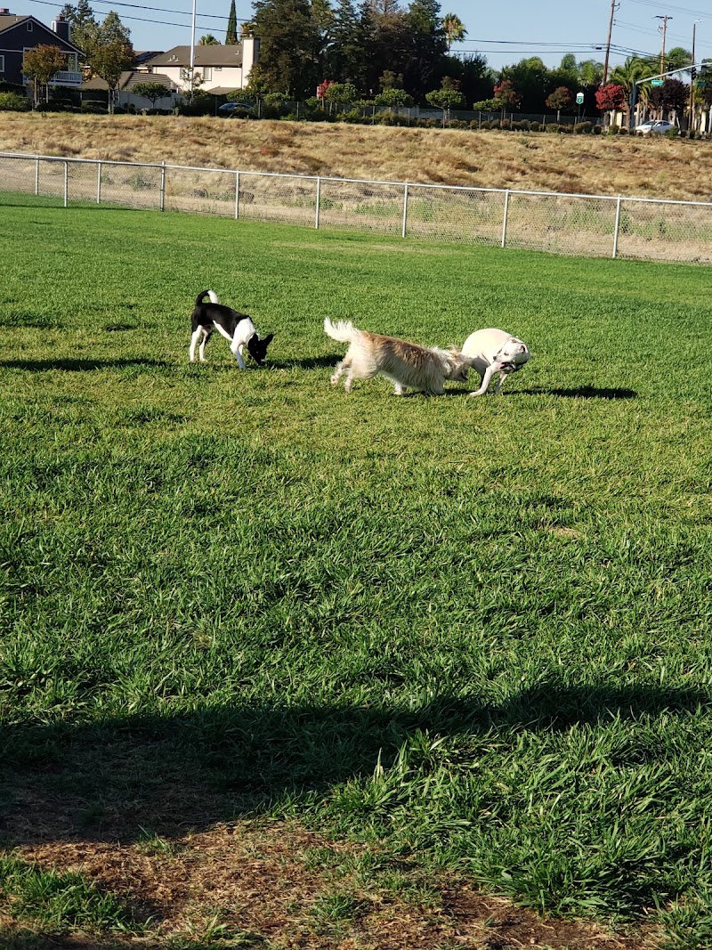 Koda Dog Park photo 2