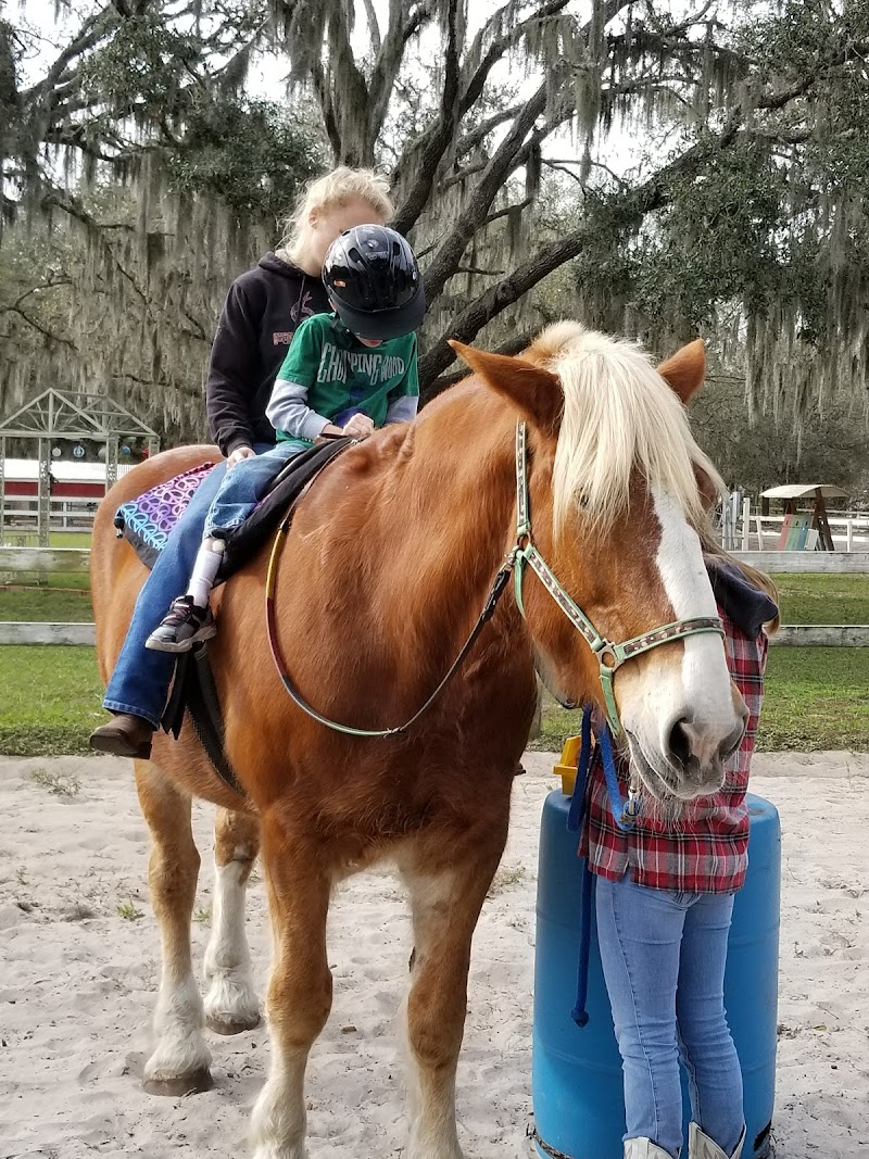 Kiddy Up Ranch photo 4