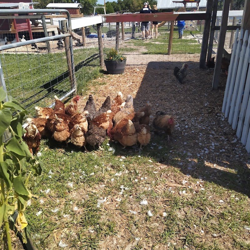 Kiddy Up Ranch photo 5