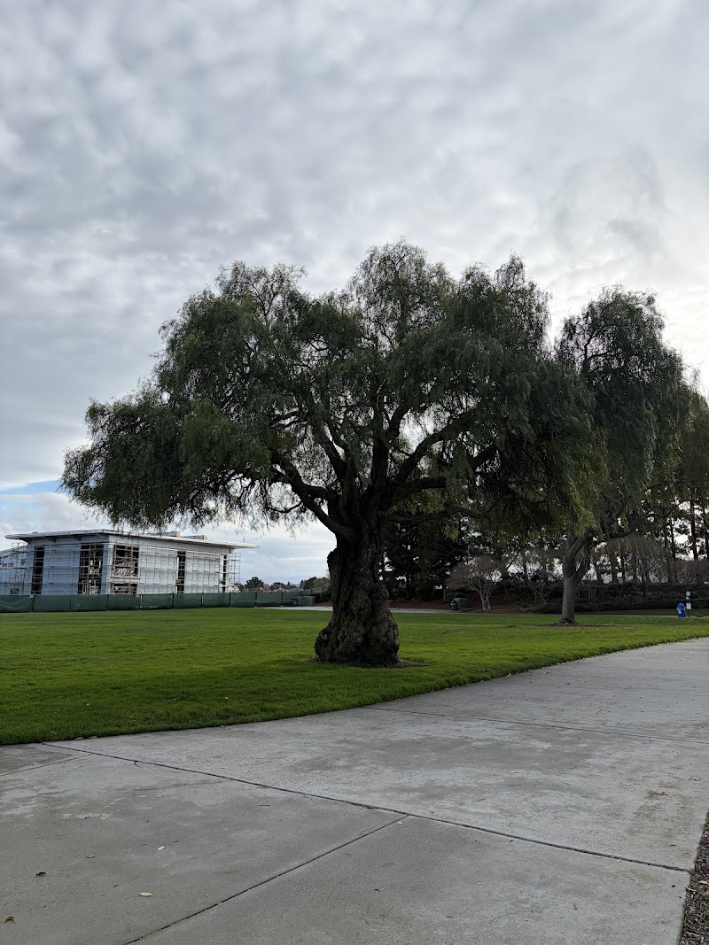 Photo of E Hillsdale Blvd & Shell Blvd