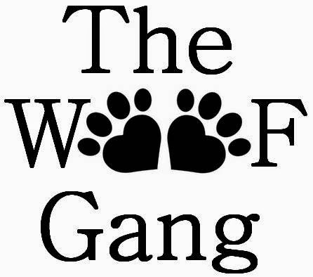 The Woof Gang, LLC - Pet Sitting & Dog Walking photo 2