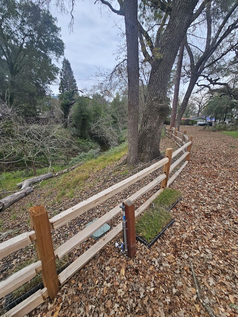Leigh Creekside Park photo 5