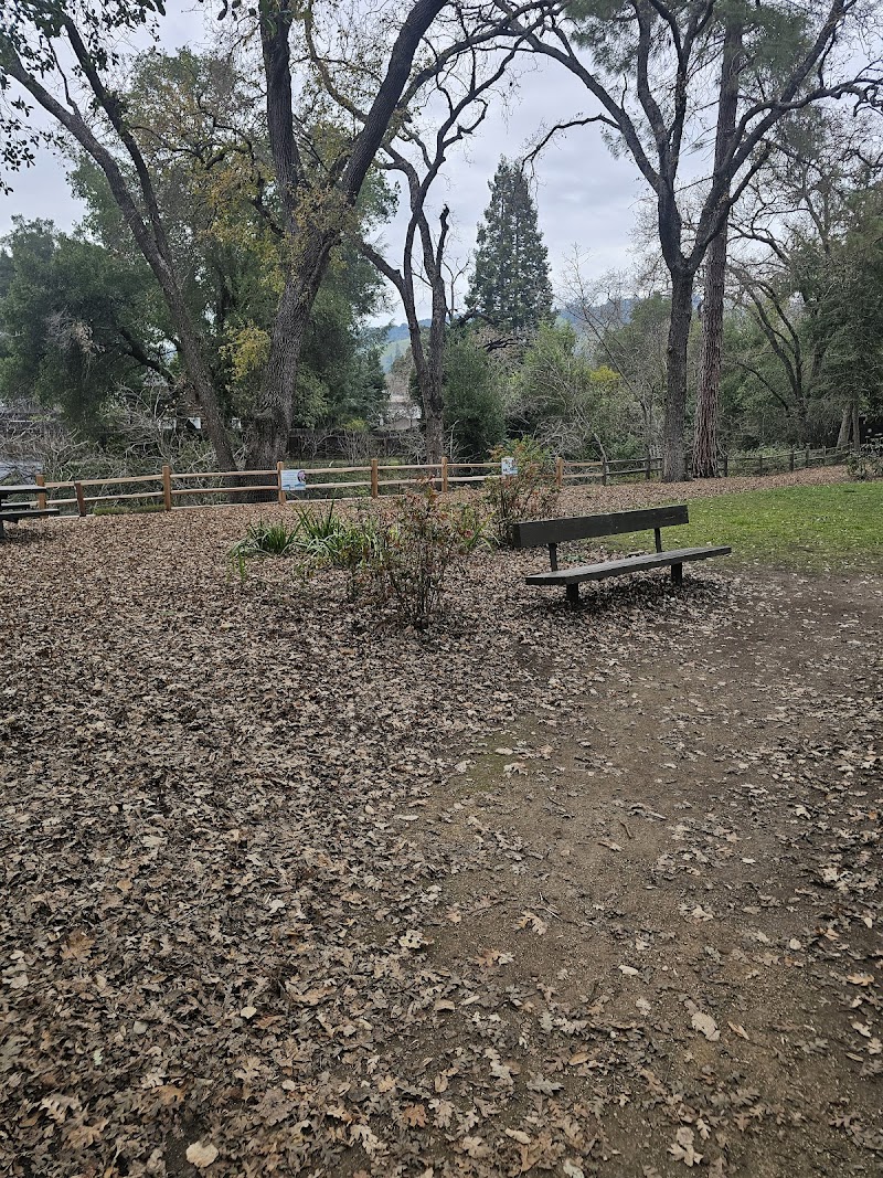 Photo of Leigh Creekside Park