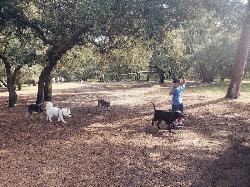Rotary Centennial Dog Park photo 2
