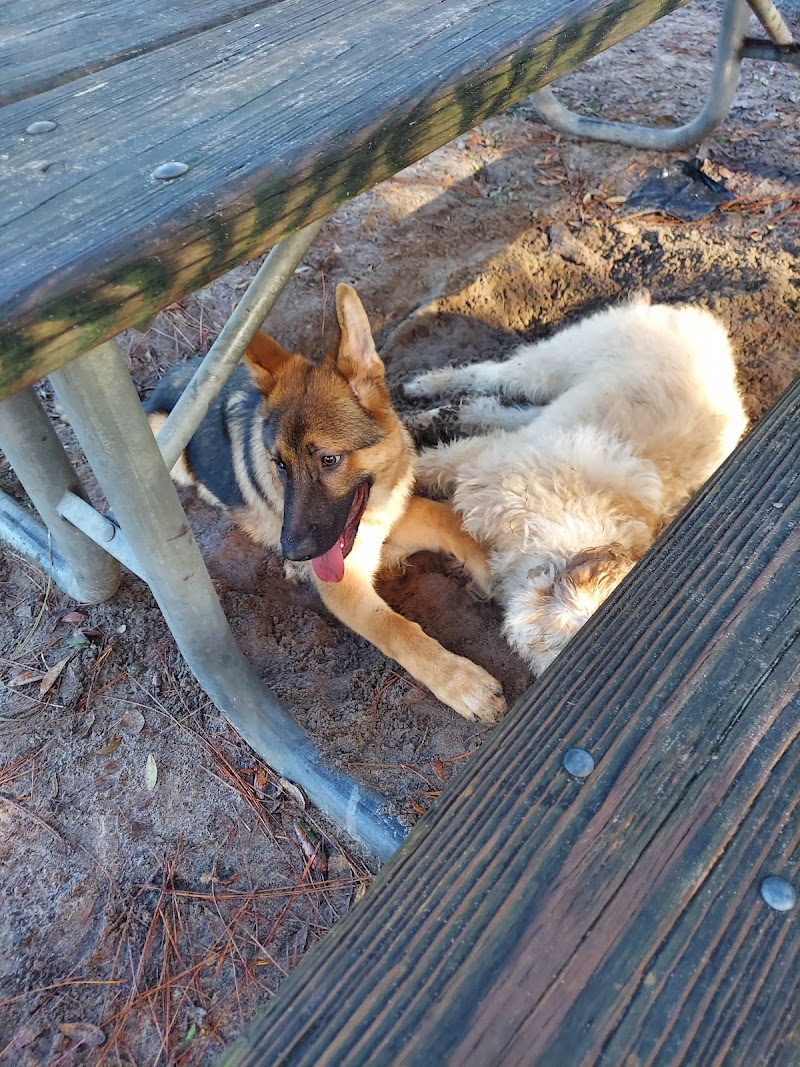 Rotary Centennial Dog Park photo 4