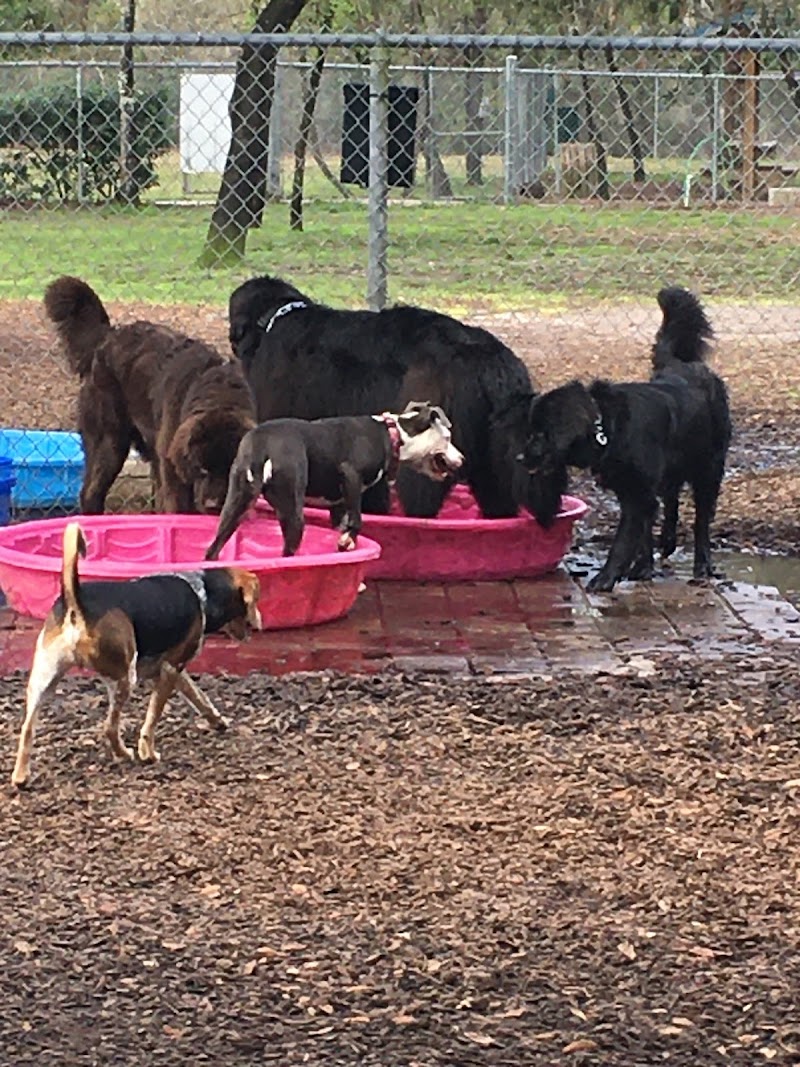Rotary Centennial Dog Park photo 3